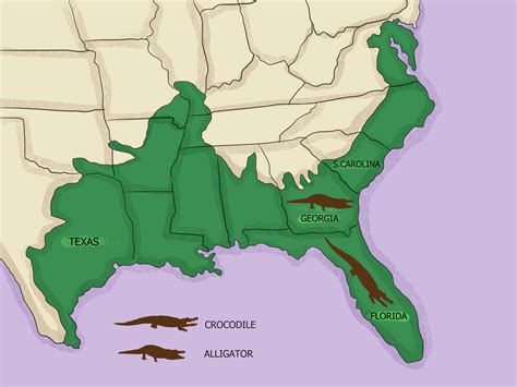 alligator vs crocodile map.